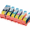 IColor ColorPack CANON (ersetzt PGI-525BK/CLI-526BK/C/M/Y/GY) Mit Chip 32